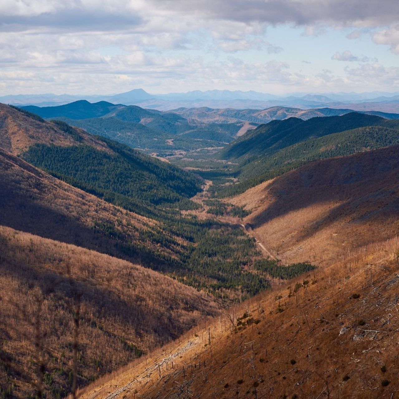 Отзывы. Фотограф в Хабаровске и Комсомольске-на-Амуре Евгений Федосеев