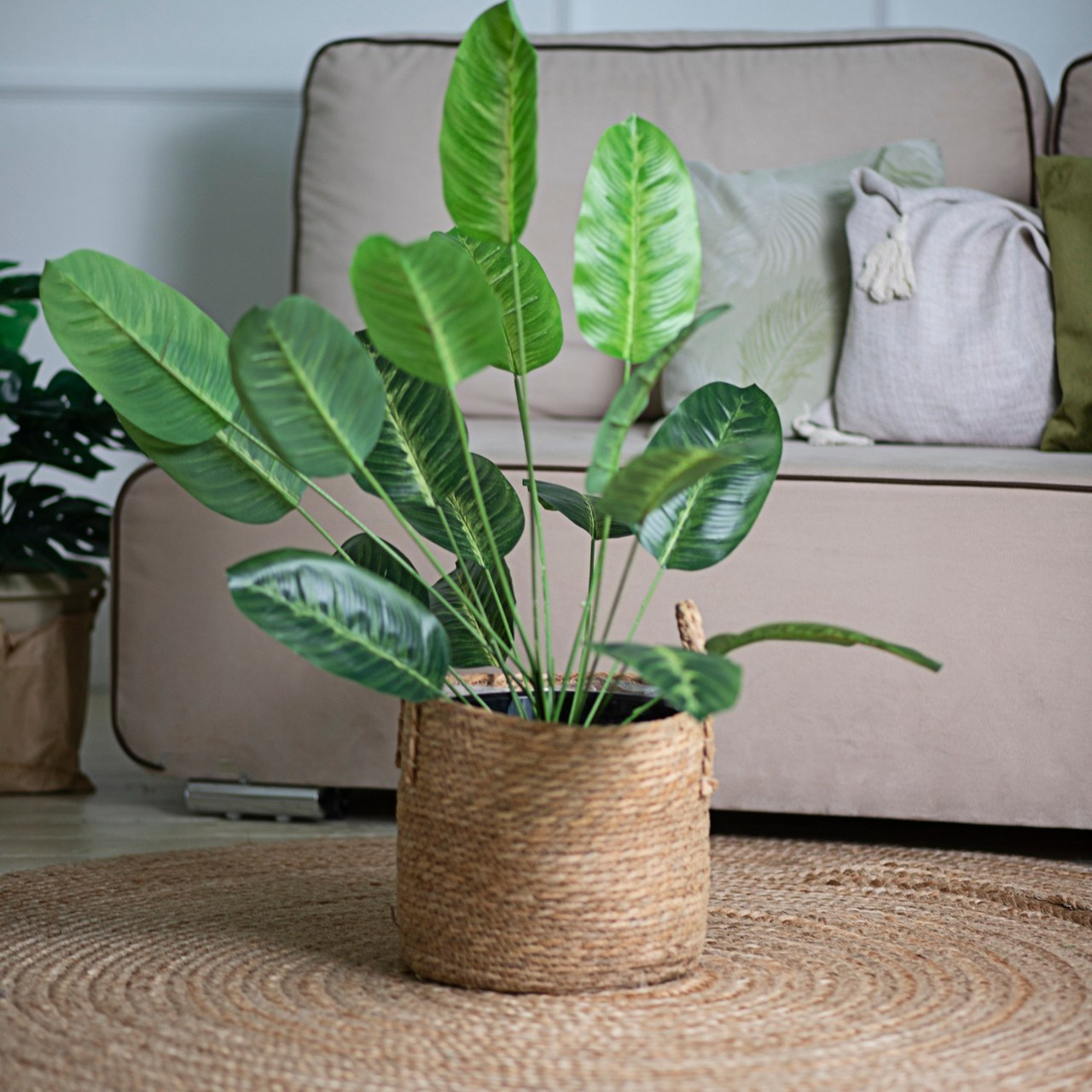 Отзывы. Фотостудия «Фрейм»