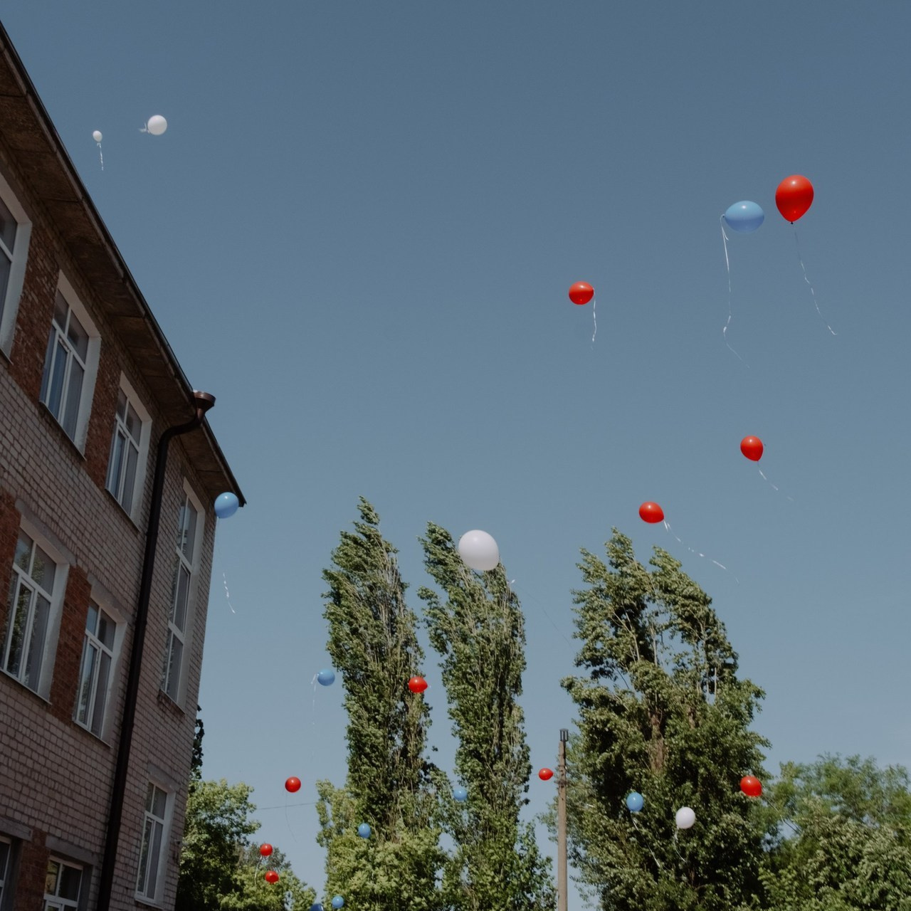 Отзывы. Фотограф в Ростове-на-Дону и Новочеркасске Ангелина Шалаева