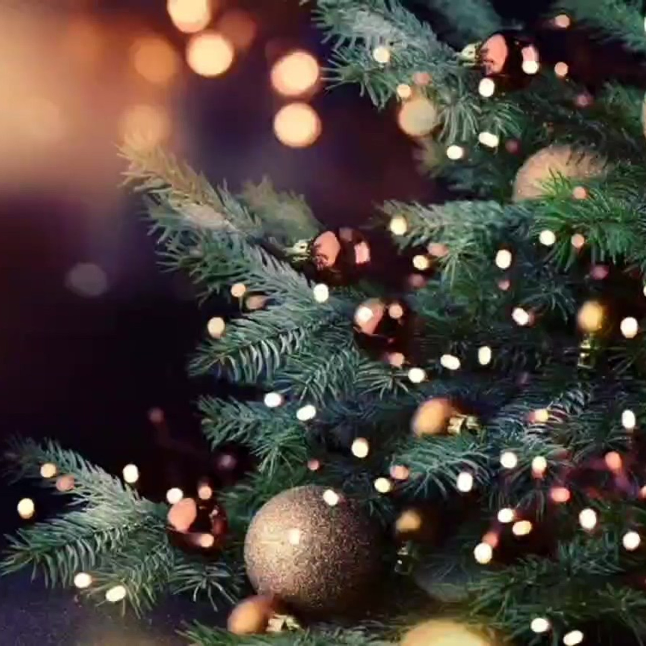 Отзывы. Мастер фото-, видеопортрета Марина Анголенко в Краснодаре