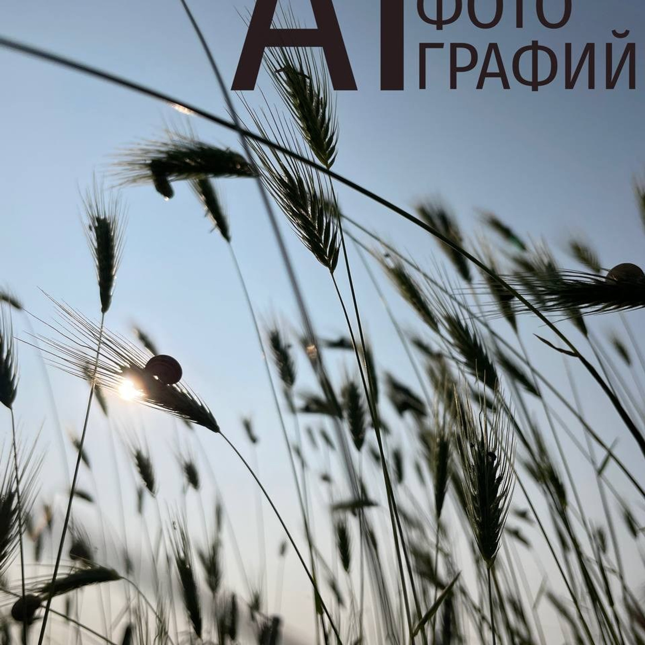 Тверь в себя. Репортажный фотограф в Сочи — Михаил Мордасов