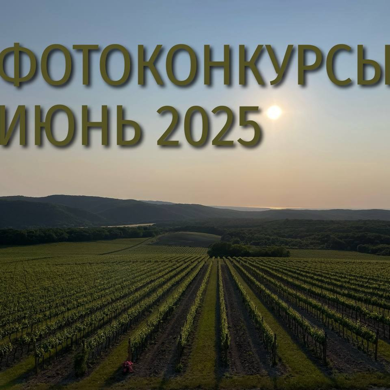 Тверь в себя. Репортажный фотограф в Сочи — Михаил Мордасов