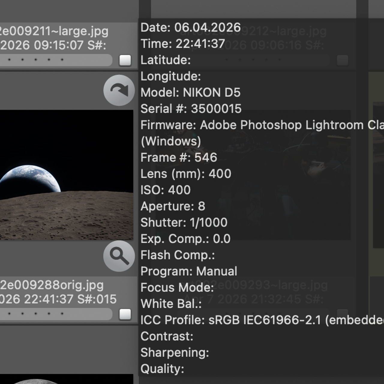 ТОП 20 лучших кадров марта 2026. Репортажный фотограф в Сочи — Михаил Мордасов