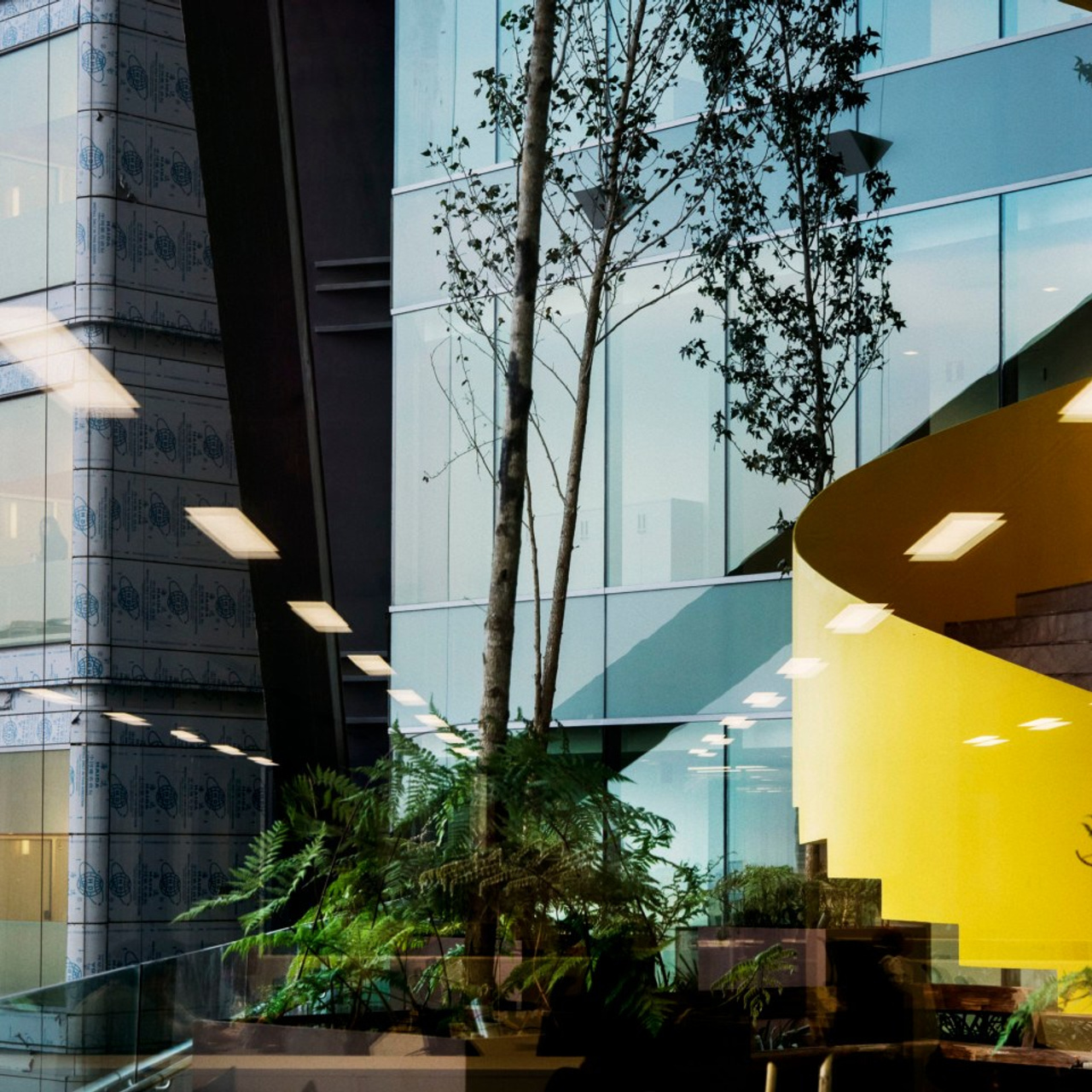 Конкурсы для фотографов в ноябре 2025 года. Репортажный фотограф в Сочи — Михаил Мордасов