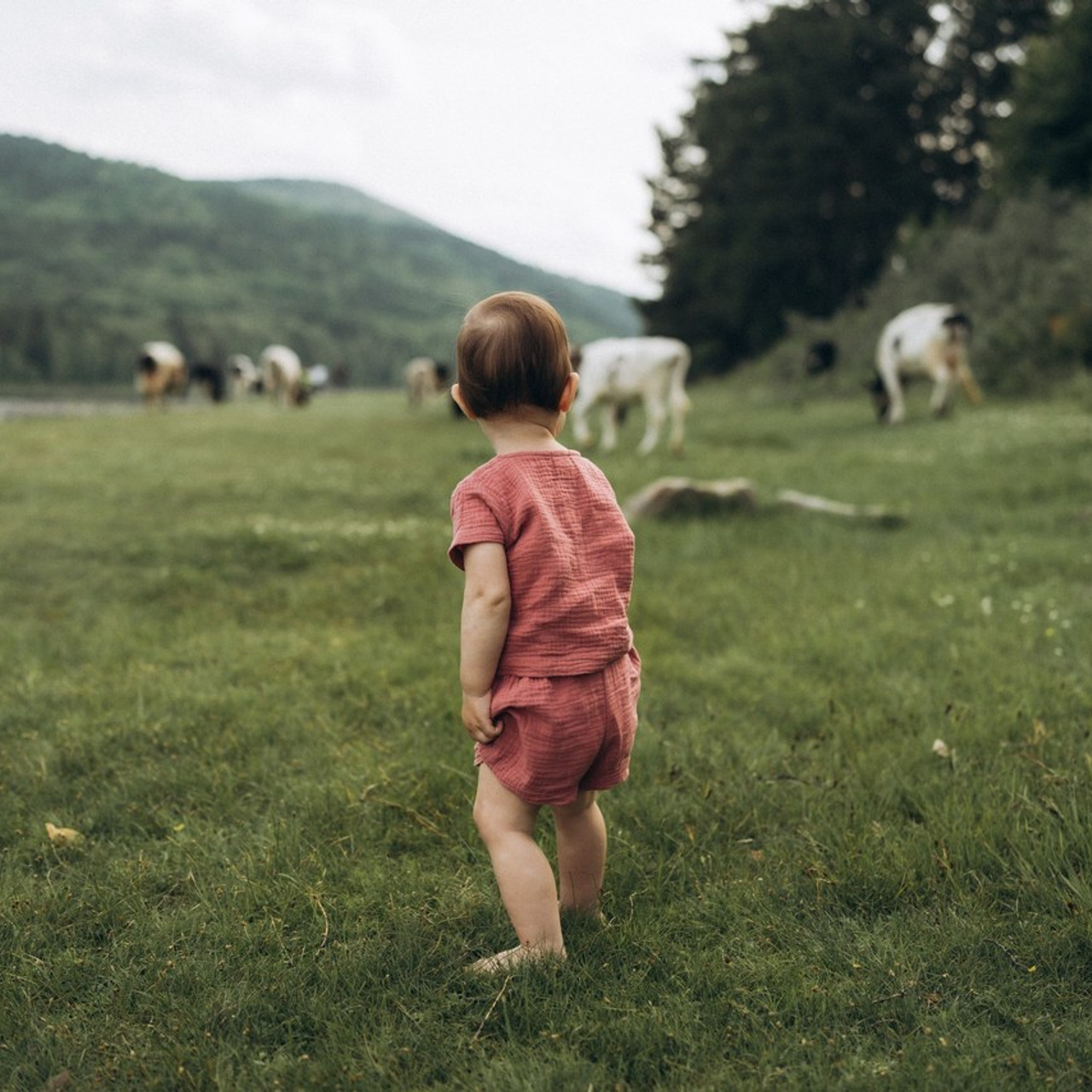 Отзывы. Семейный фотограф в Ангарске/ Иркутске