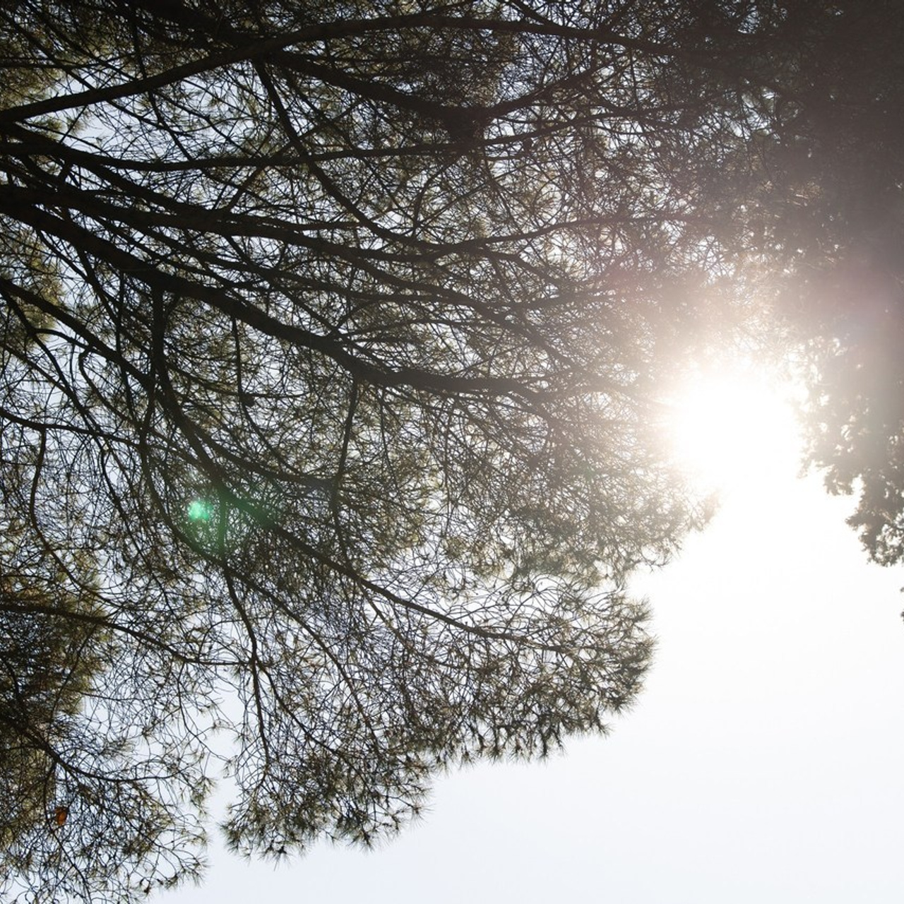 ОТЗЫВЫ. Yura Rush Свадебный фотограф Тюмень