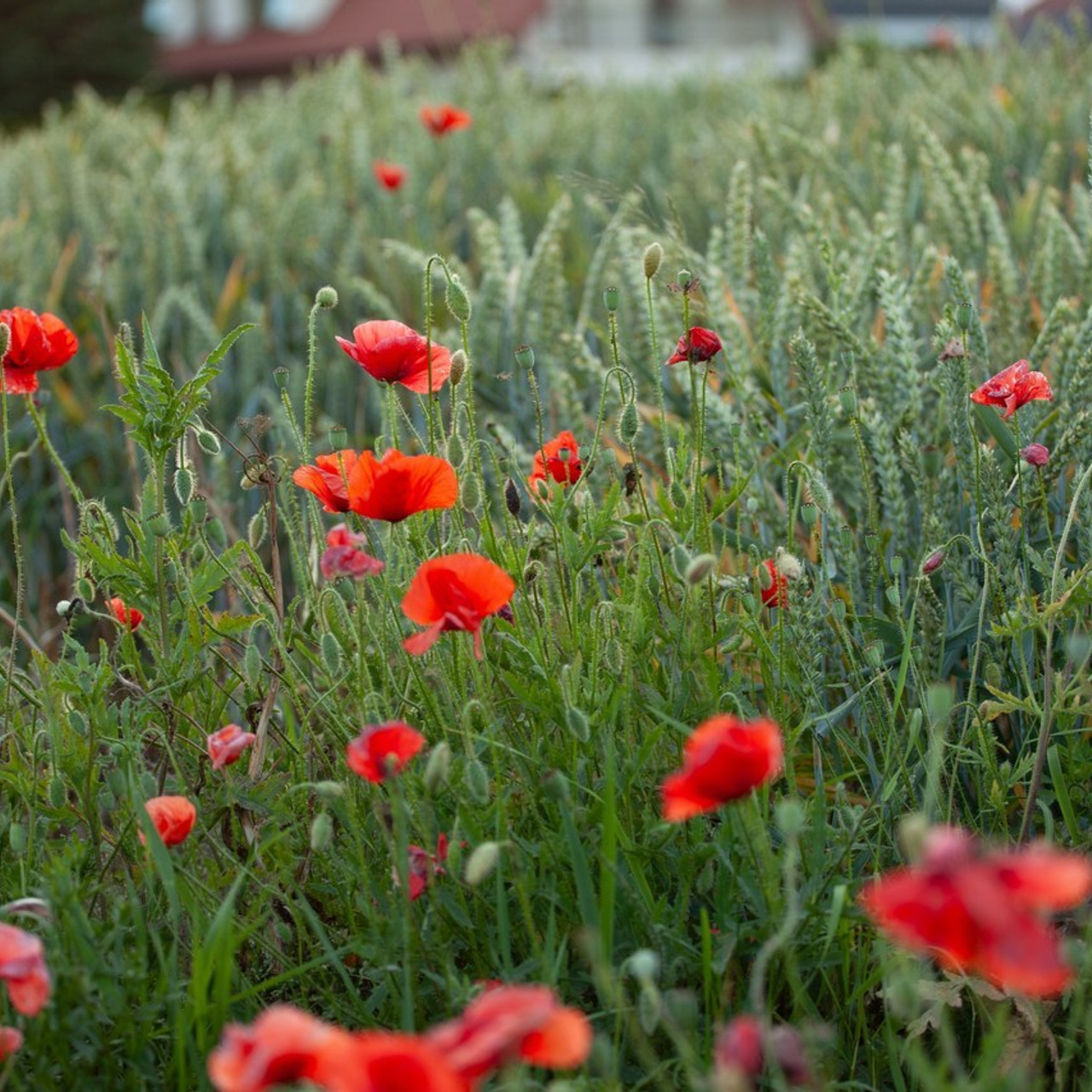 Feedback. Retusher Maryia Buhai