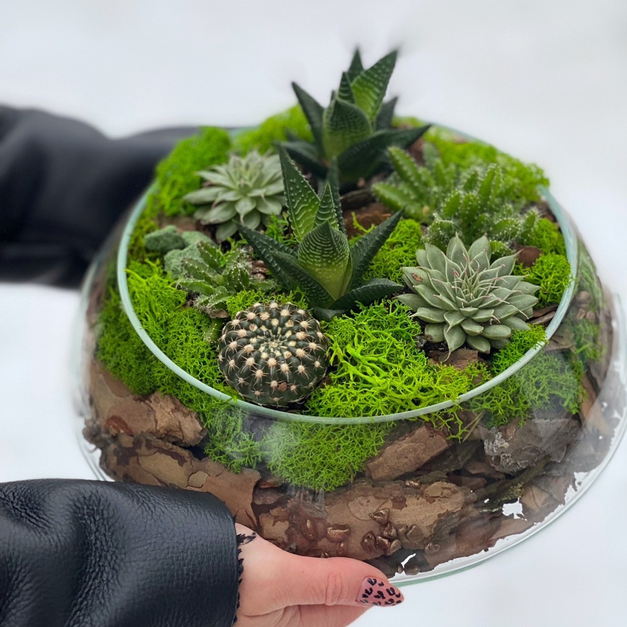 Не съедобные