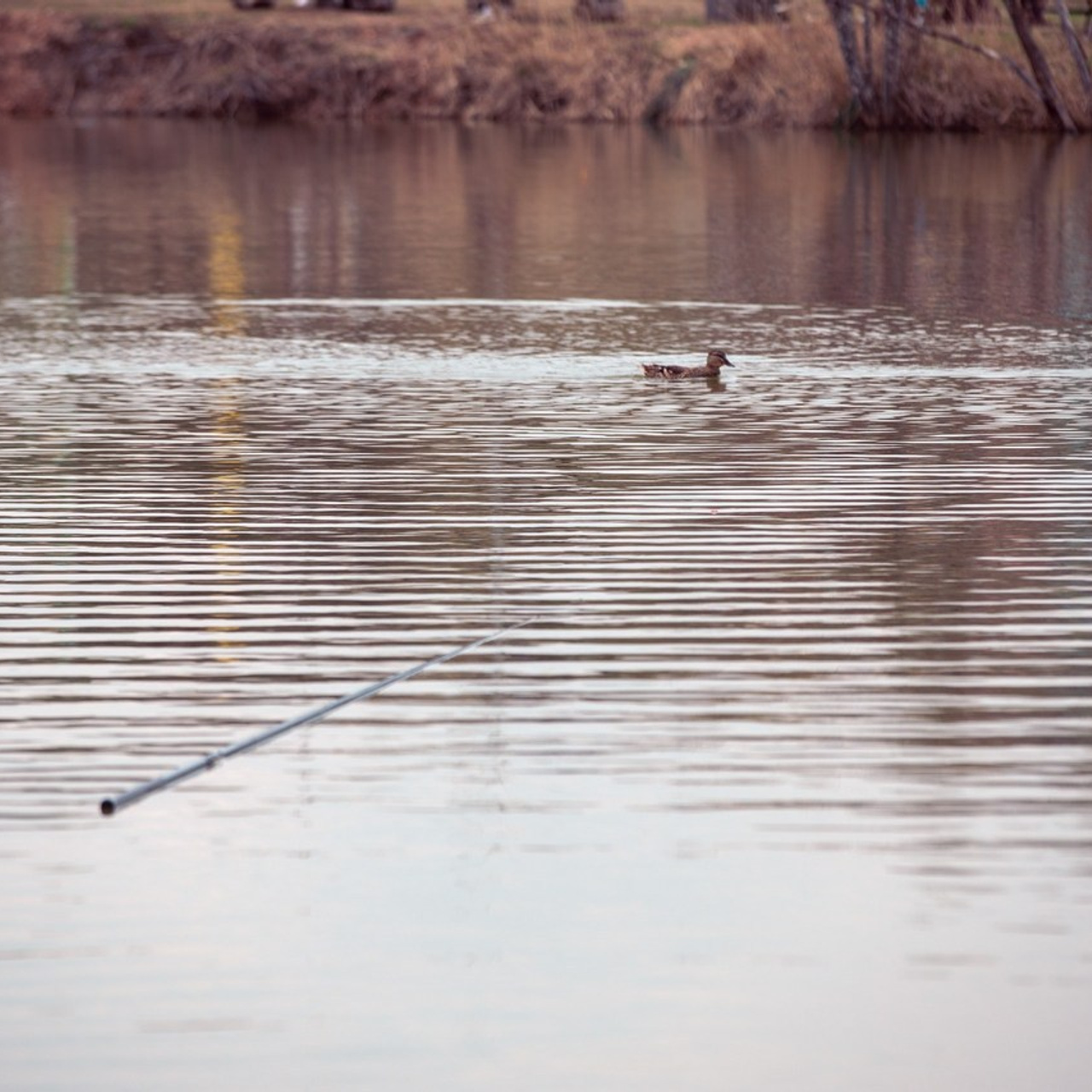 Отзывы. Твой ламповый фотограф