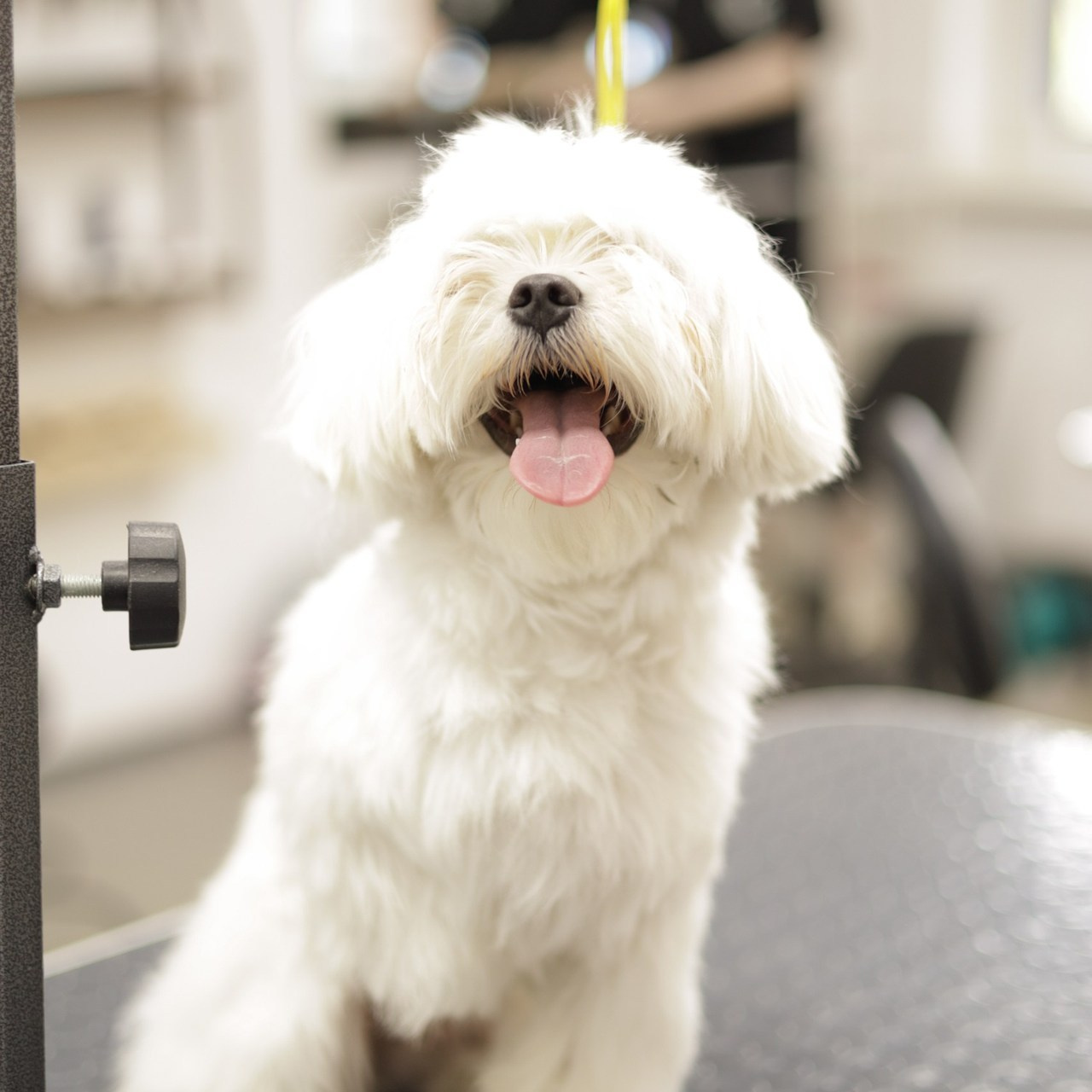 Отзывы. Фотограф Мурманск | Нижний Новгород • Анна Хижняк