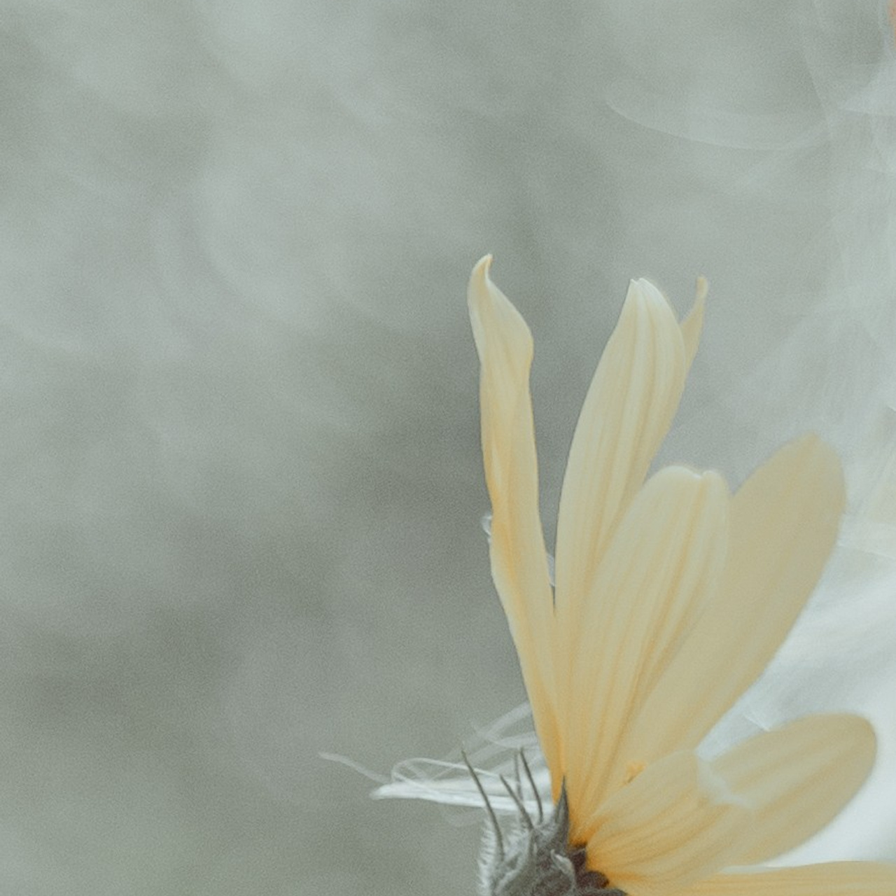 Нежность августа. Семейный фотограф СПб и ЛО Татьяна Прилепко