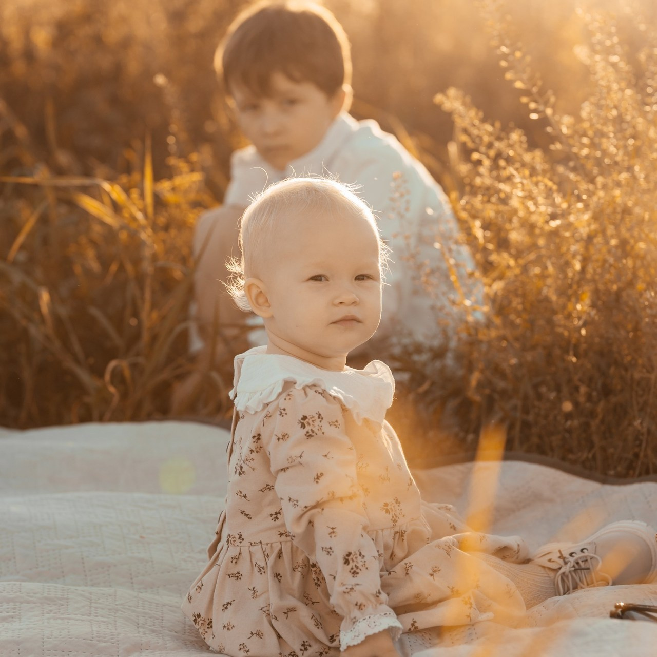 Отзывы. Выпускные фотоальбомы Фрязино Щёлково Света Шенгелия