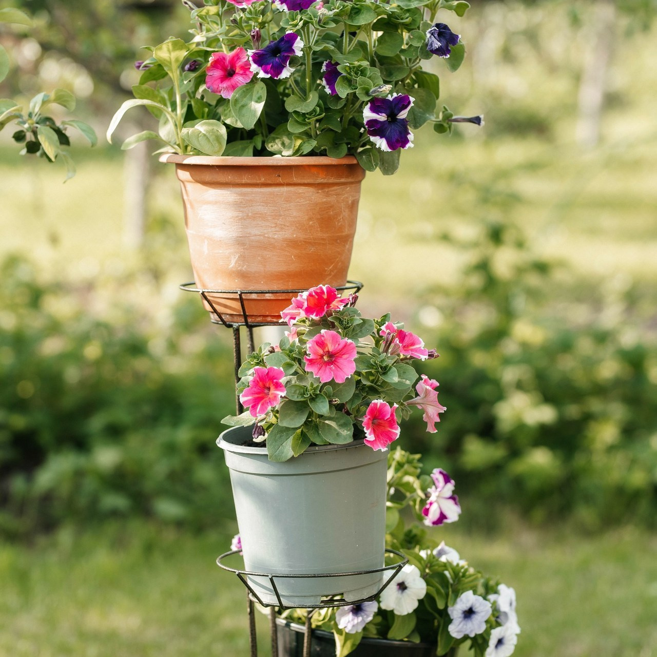 Отзывы. Выпускные фотоальбомы Фрязино Щёлково Света Шенгелия