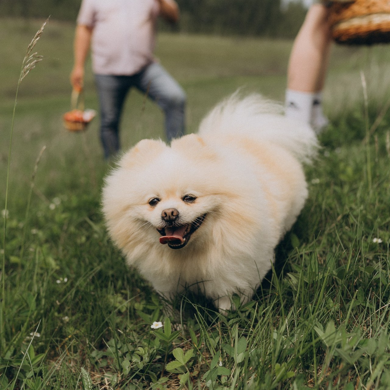 Ваши отзывы. Фотограф Торопец Кристина Абрамова Kanwellia photography