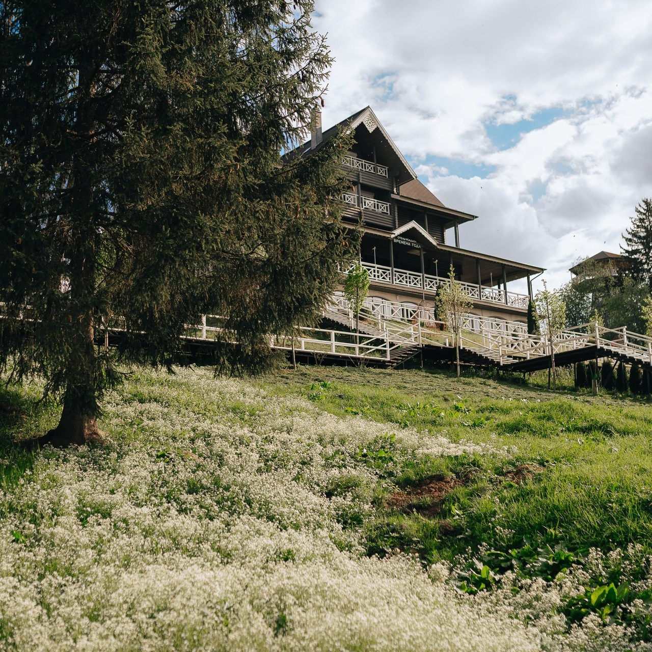 Ваши отзывы. Фотограф Торопец Кристина Абрамова Kanwellia photography