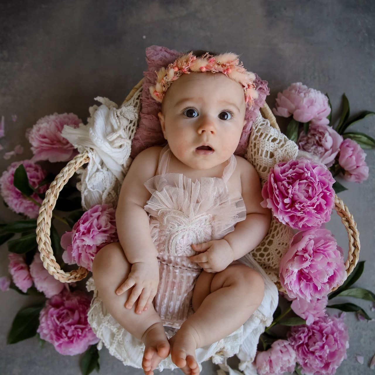 Отзывы. Фотосессия новорожденного в Москве Newborn Angel