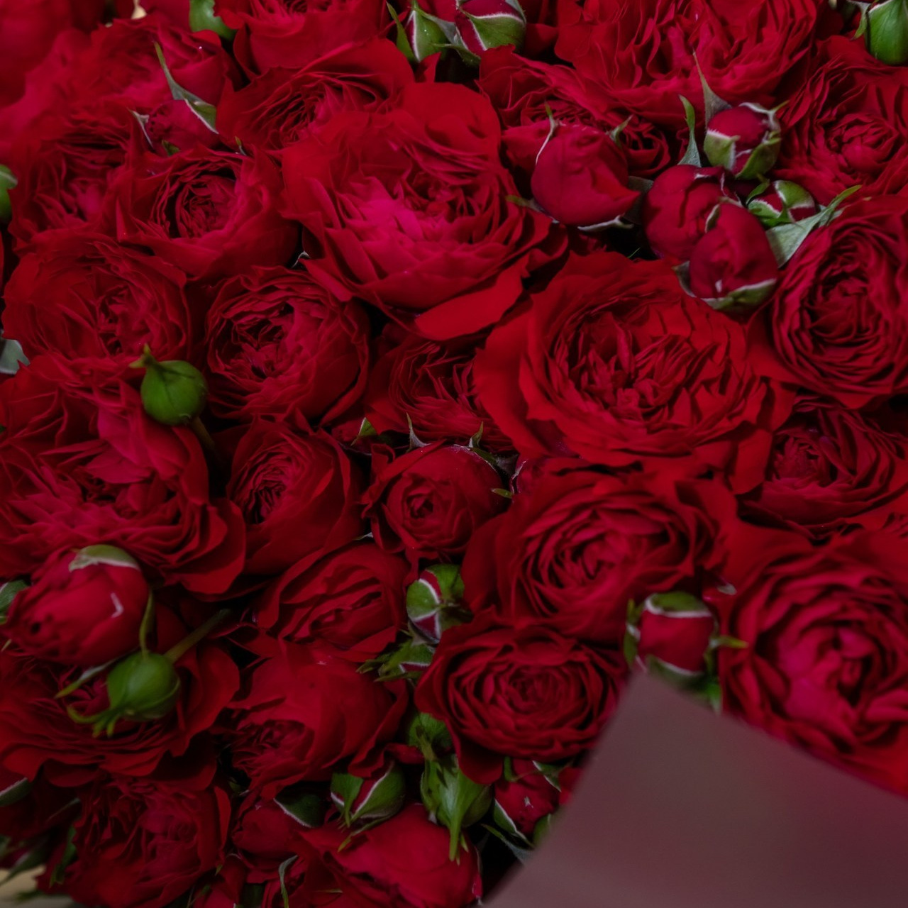 Отзывы. Главная