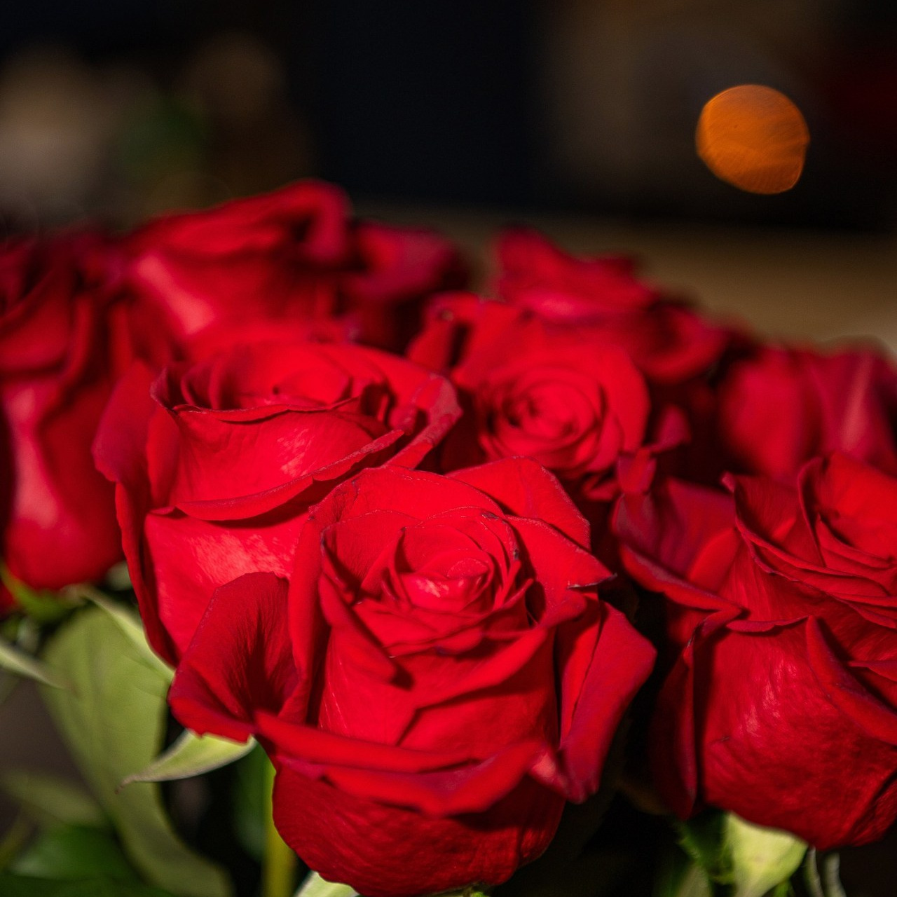 Отзывы. Фотограф в Нефтеюганске Мила Аксёнкина