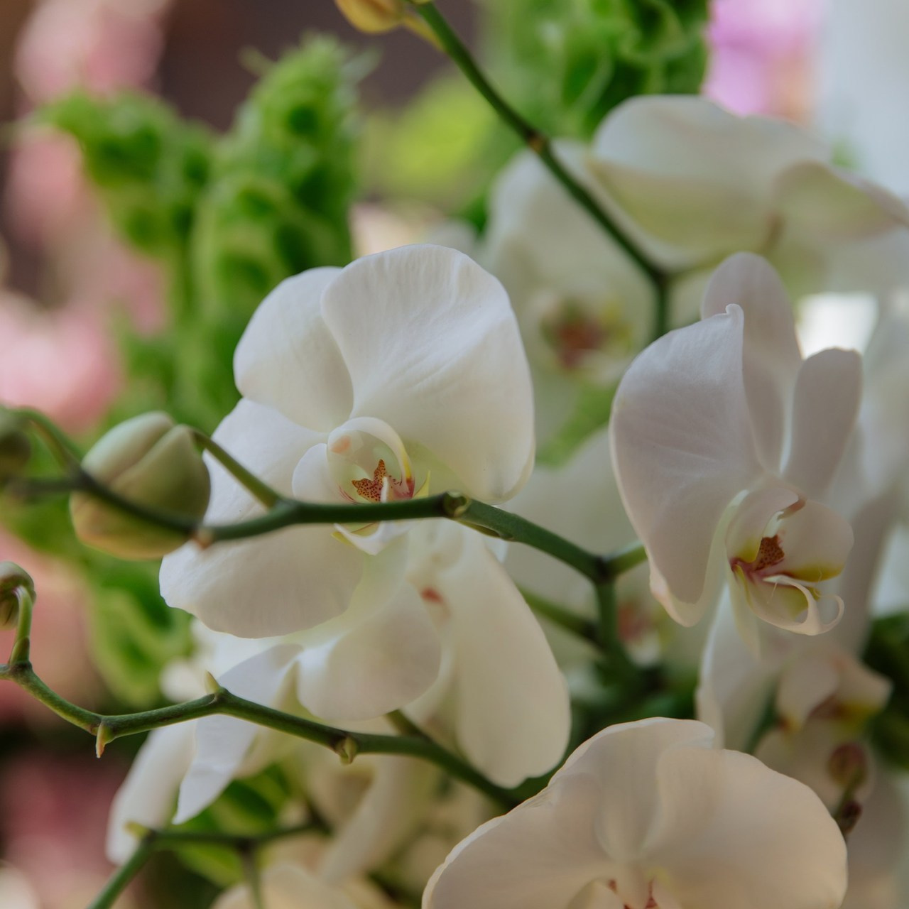 Отзывы. Главная