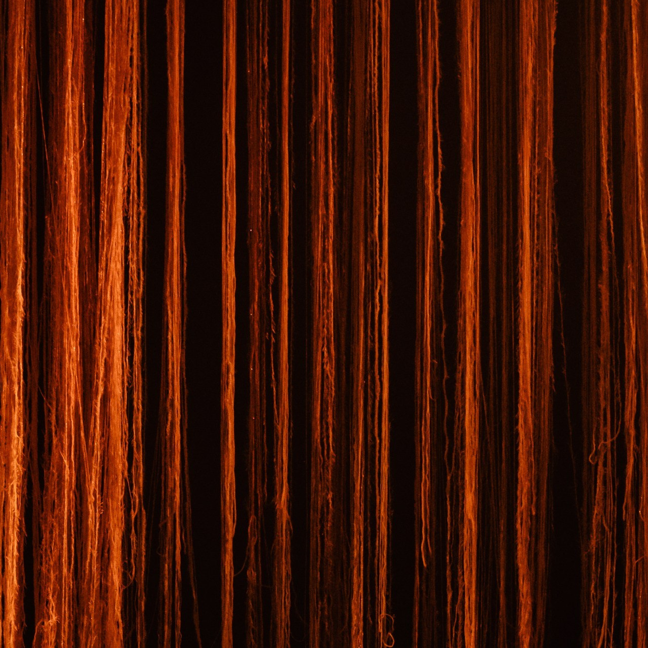 Отзывы. Репортажный и концертный фотограф Алексей Патентный в Екатеринбурге