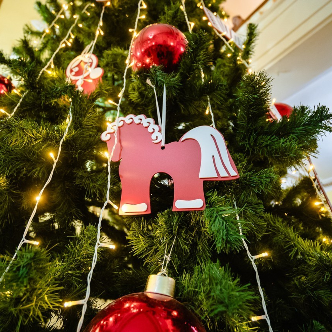 Отзывы. Репортажный и концертный фотограф Алексей Патентный в Екатеринбурге