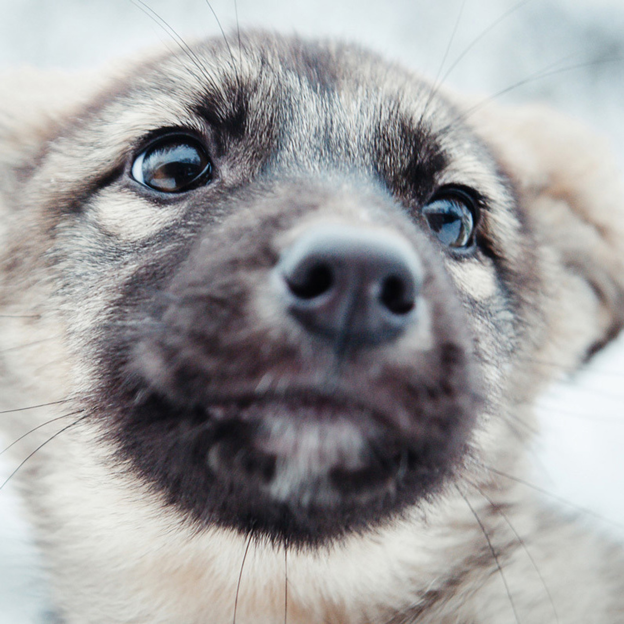 Отзывы. Видеограф и фотограф на свадьбу в Москве