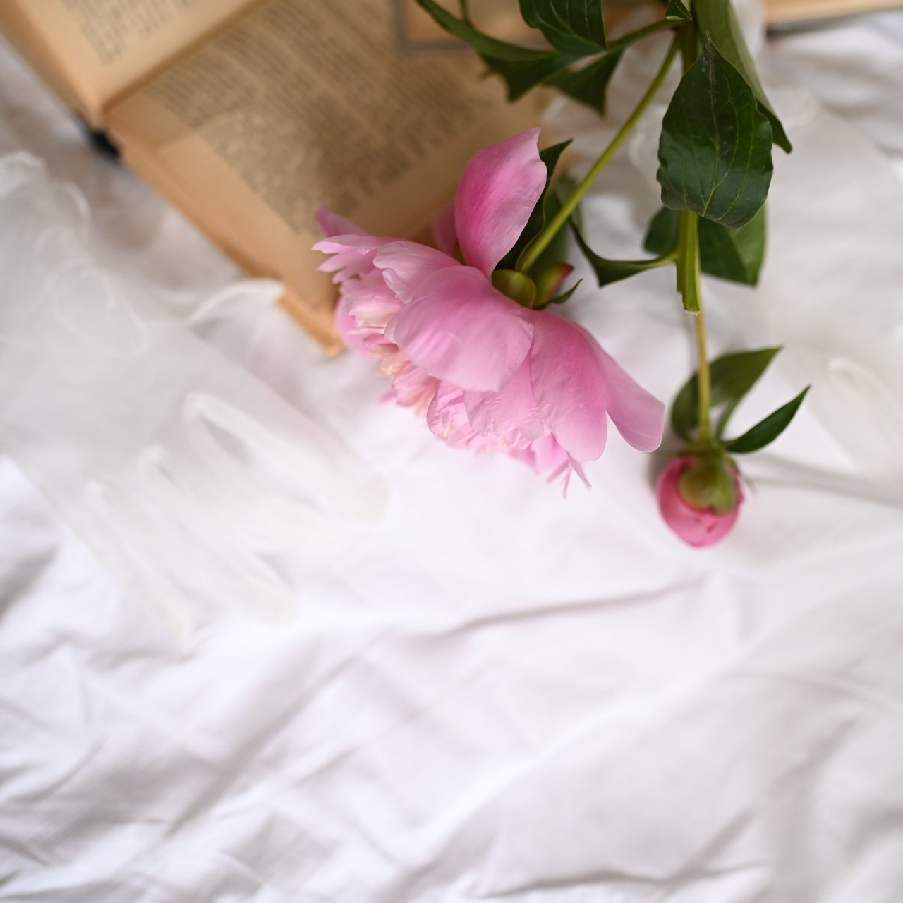 Отзывы. Твой личный проводник к красивым фотографиям в Старом Осколе