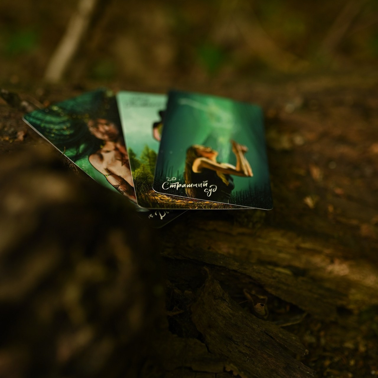 Отзывы. Твой личный проводник к красивым фотографиям в Старом Осколе