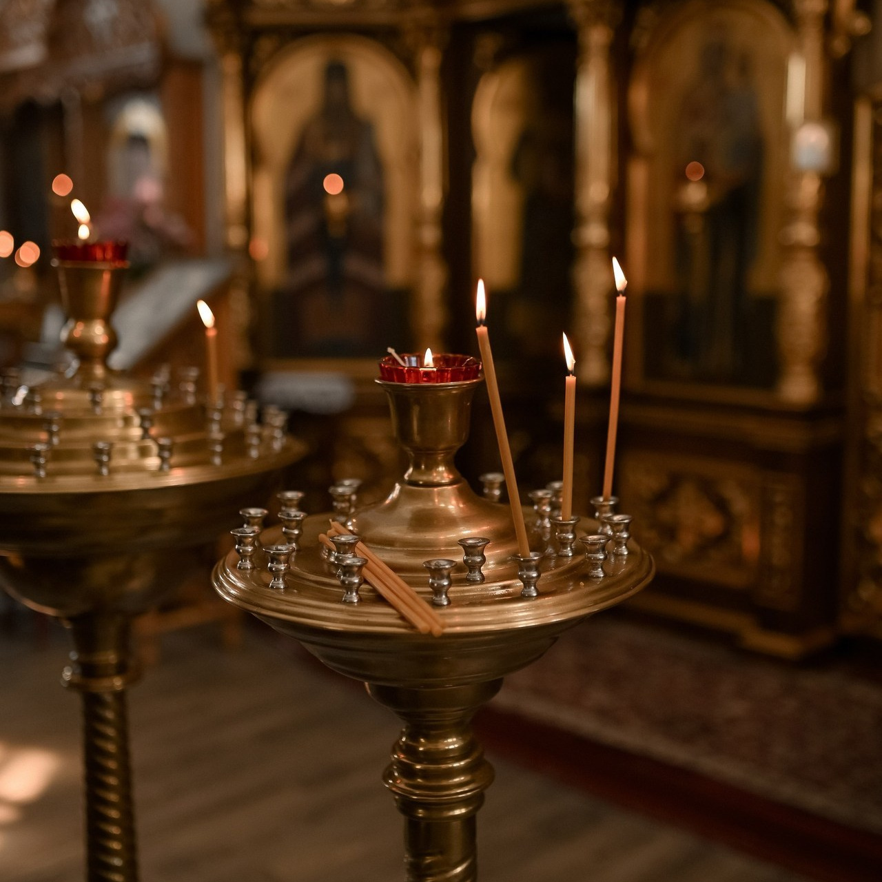 Отзывы. Твой личный проводник к красивым фотографиям в Старом Осколе