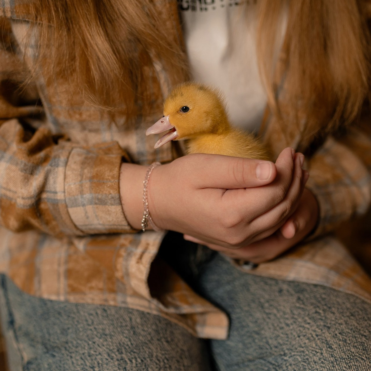 Отзывы. Твой личный проводник к красивым фотографиям в Старом Осколе
