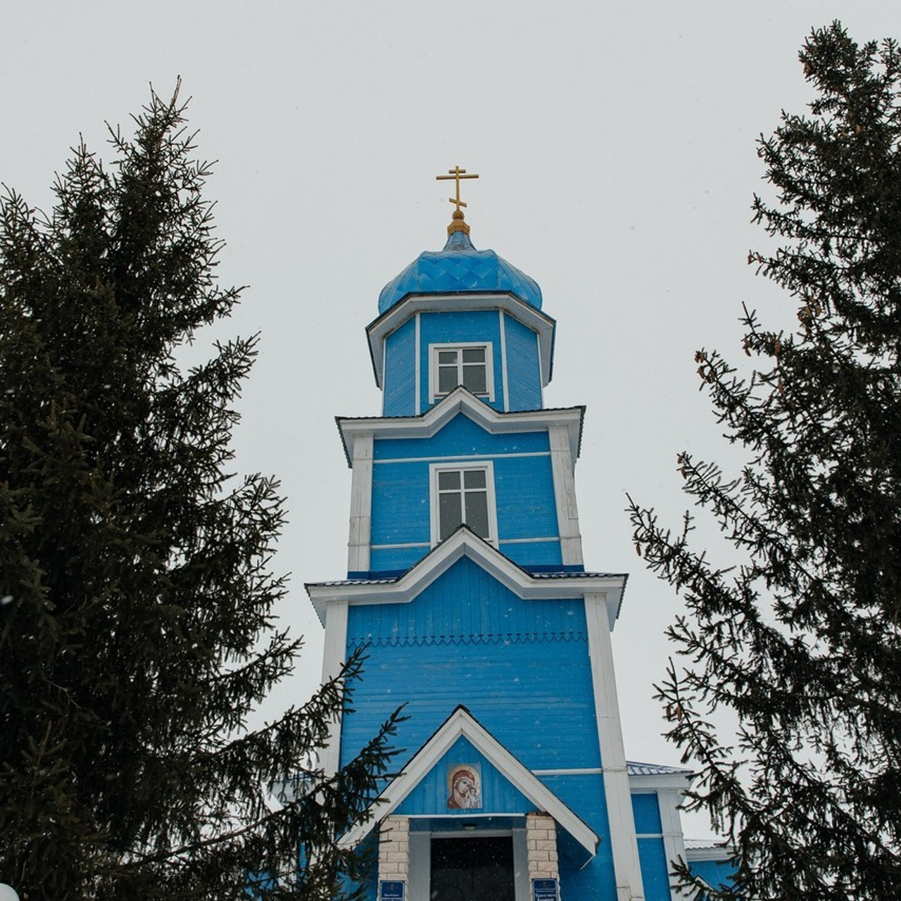 Отзывы. Фотограф Виктория Котенёва