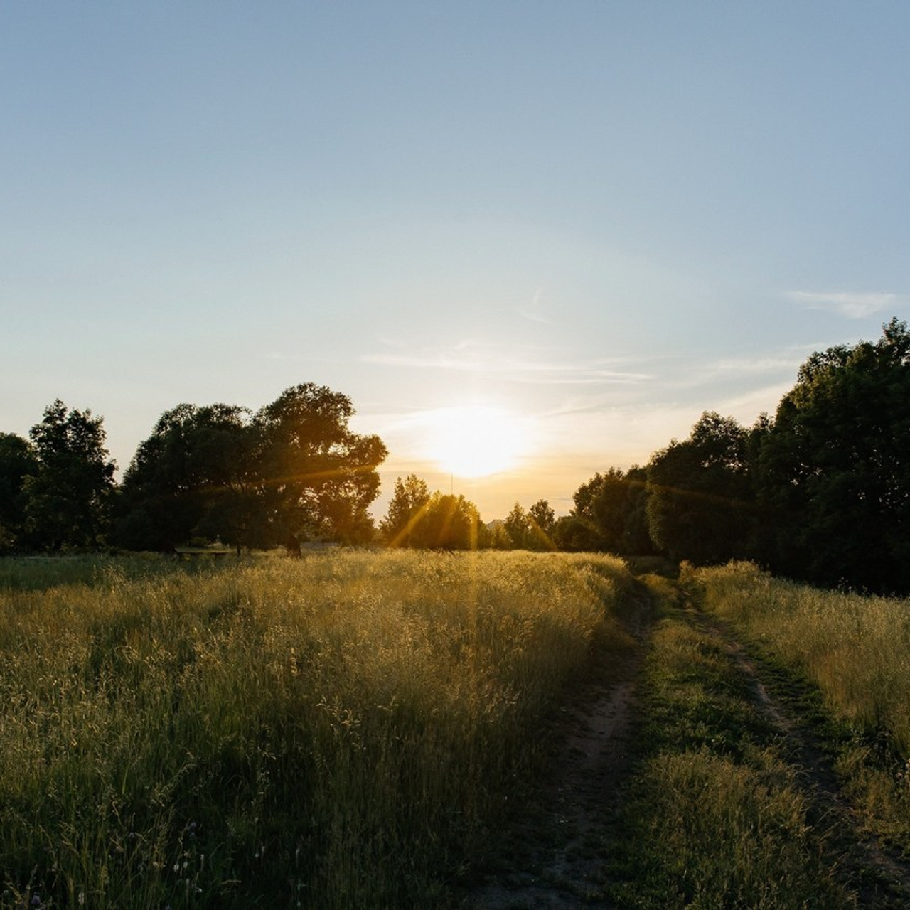 Отзывы. Фотограф Виктория Котенёва