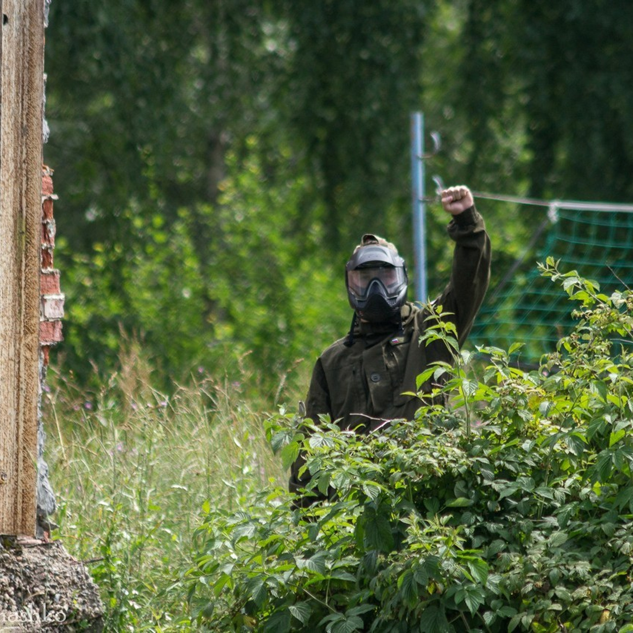 Отзывы. Фотограф Дмитрий Ромашко