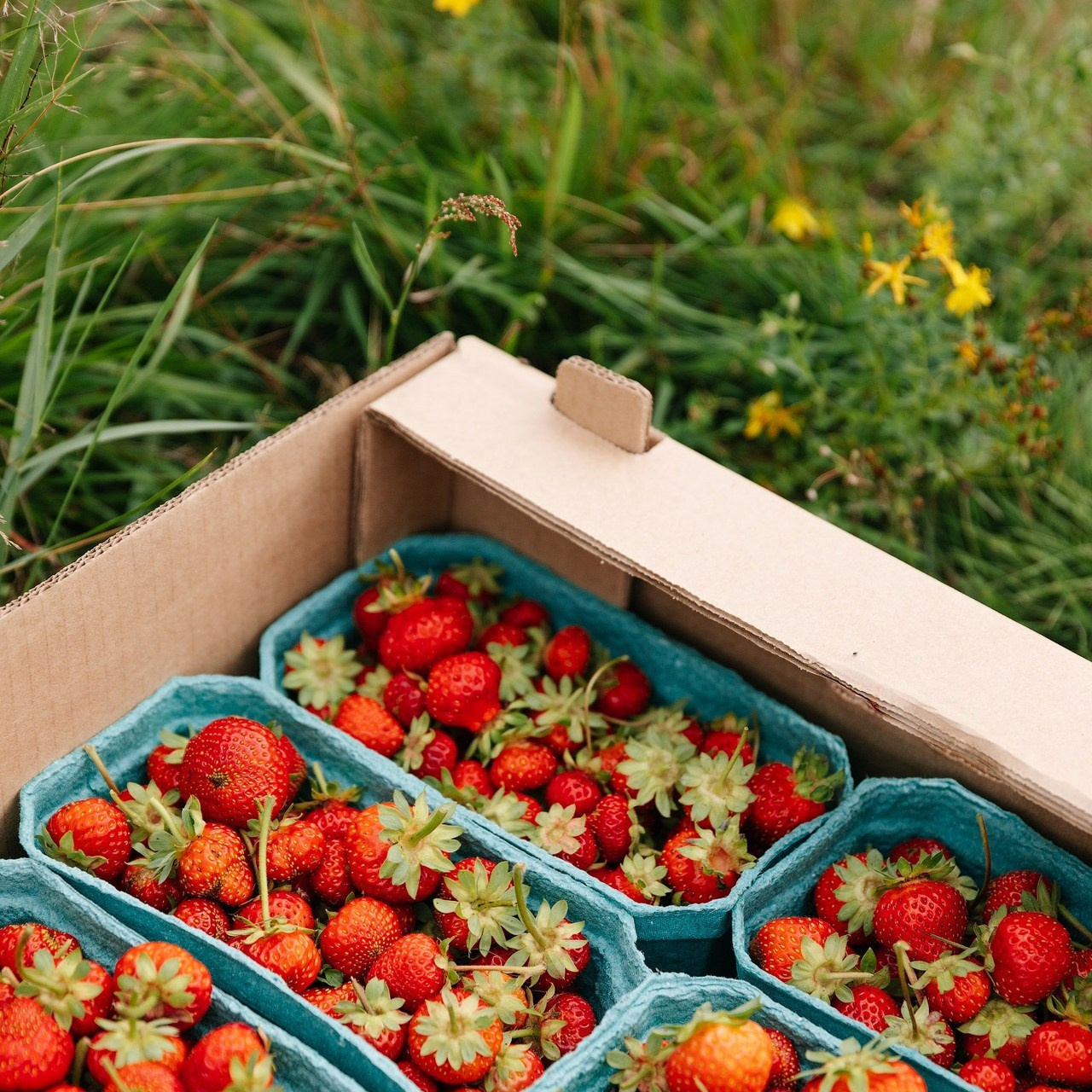 Отзывы. Свадебный и семейный фотограф Жукова Дарья, Нижний Новгород, Дмитров, Москва