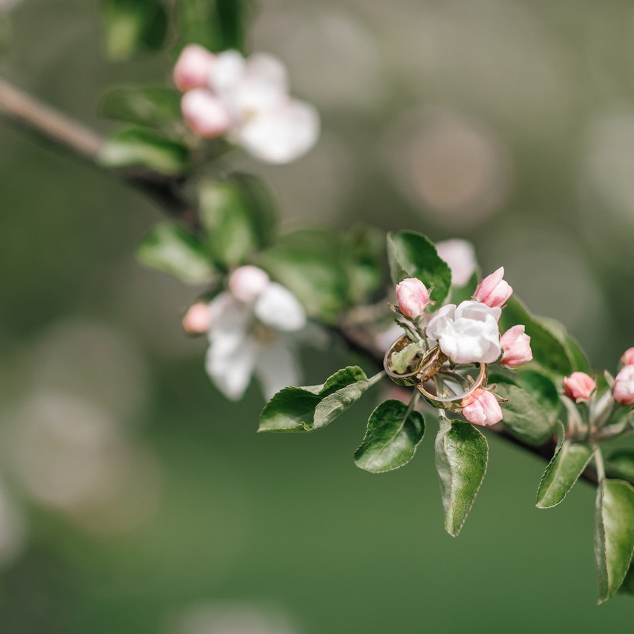 Отзывы. Свадебный и семейный фотограф Жукова Дарья, Нижний Новгород, Дмитров, Москва