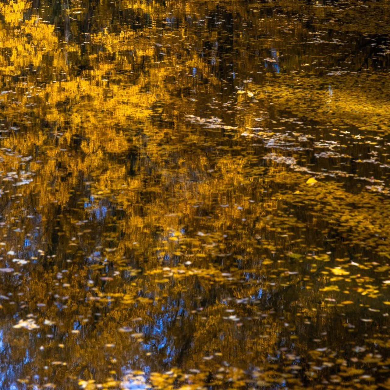 Отзывы клиентов