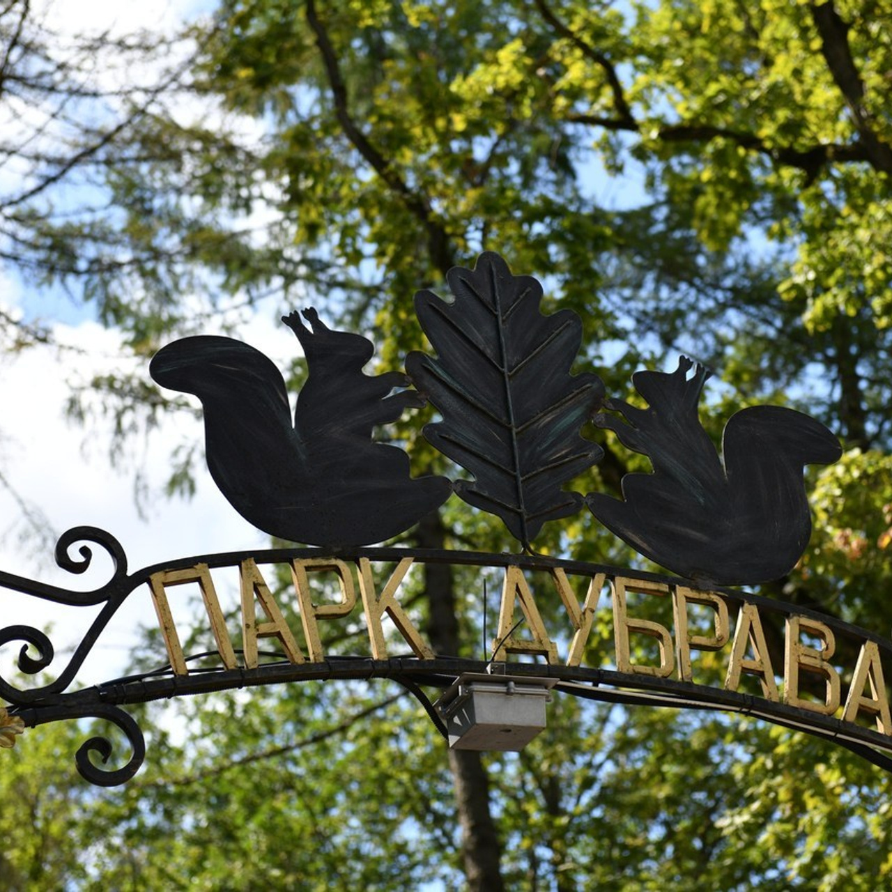 Отзывы. Свадебный и портретный фотограф в Москве Галина Борисова