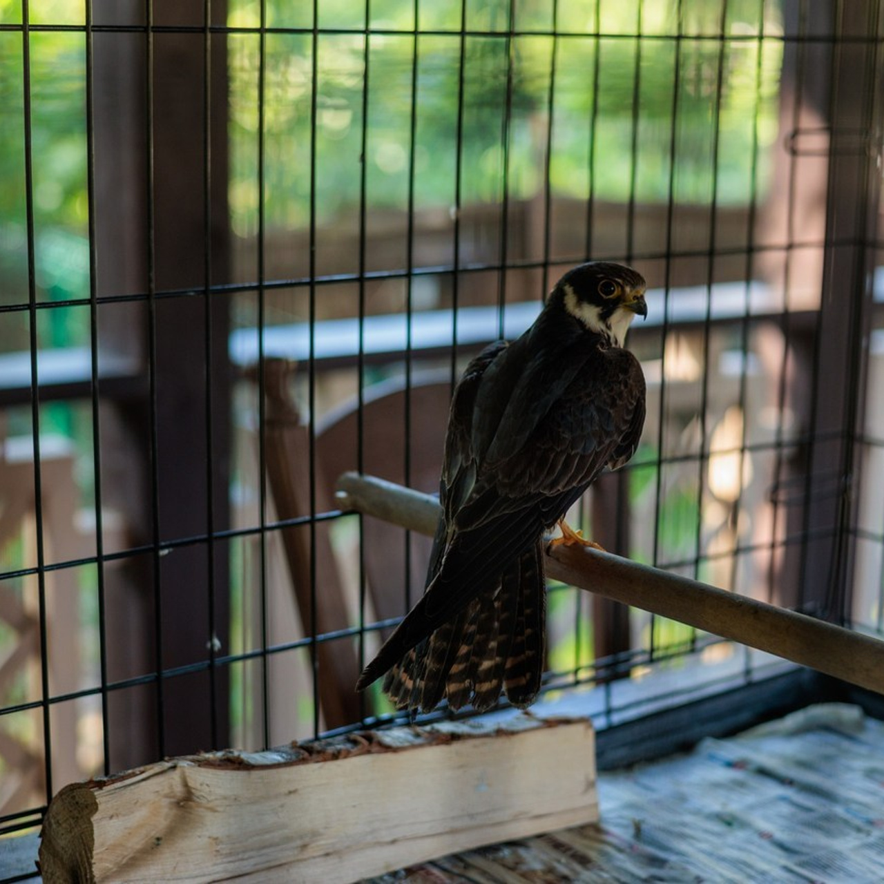 Отзывы. Class Story