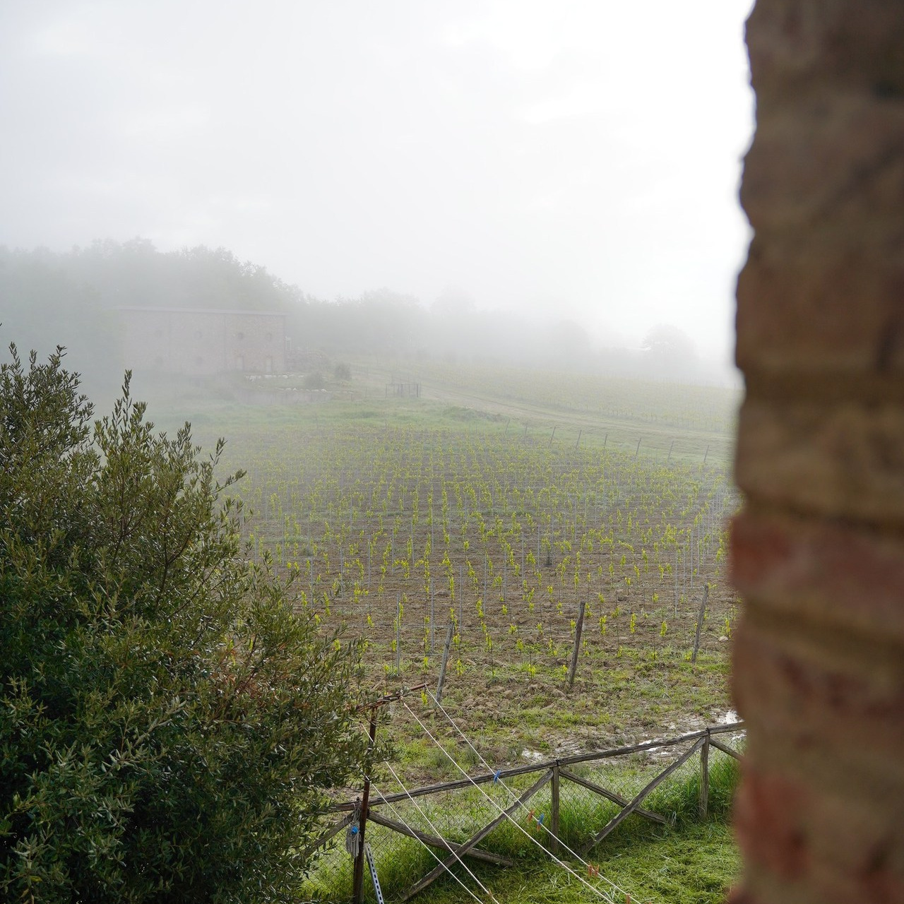 Recensioni dei Clienti -Opinioni su Irina Zinovyeva Fotografa a Lucca. Family Lifestyle Photographer in Lucca, Italia