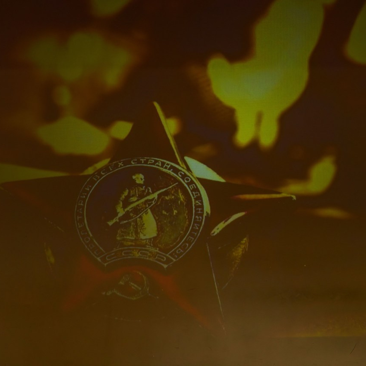 Отзывы. Фотограф Наталья Соколовская. Новосибирск