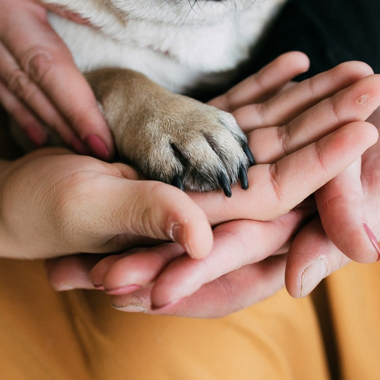 Отзывы. Фотограф Яна Каменькова l Омск