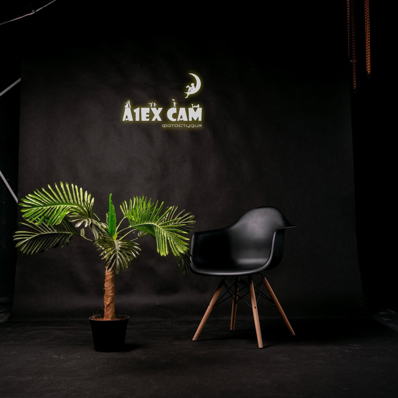 Студия Алекскам