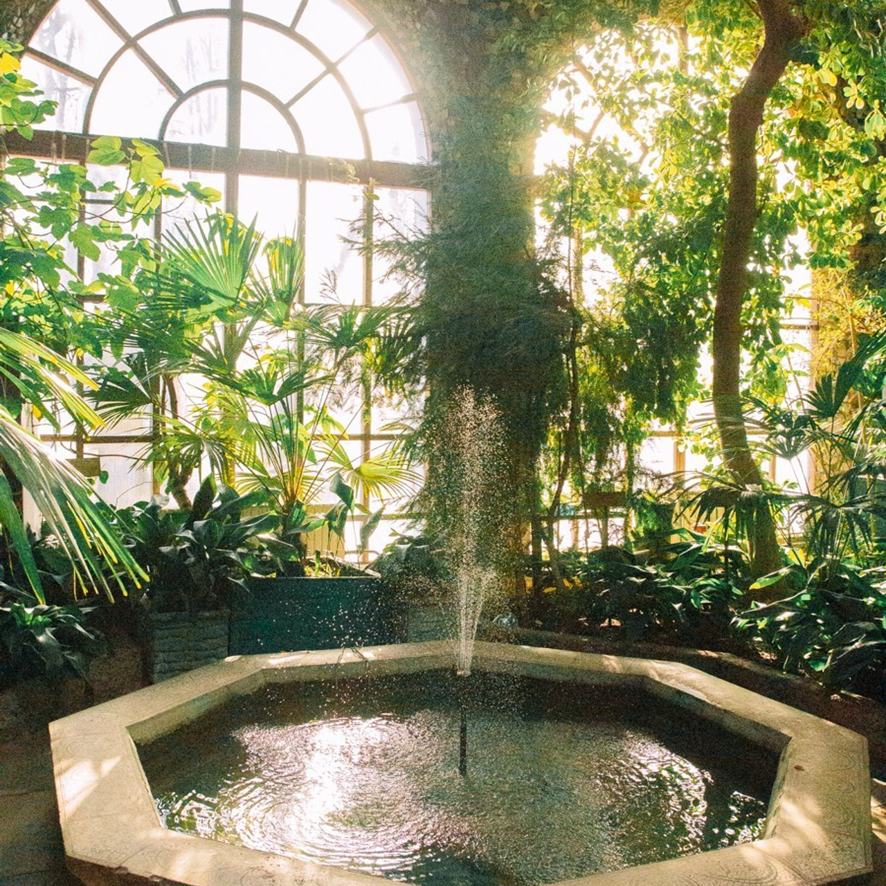 Отзывы. Портретный фотограф в Гомеле Иван Полиненко