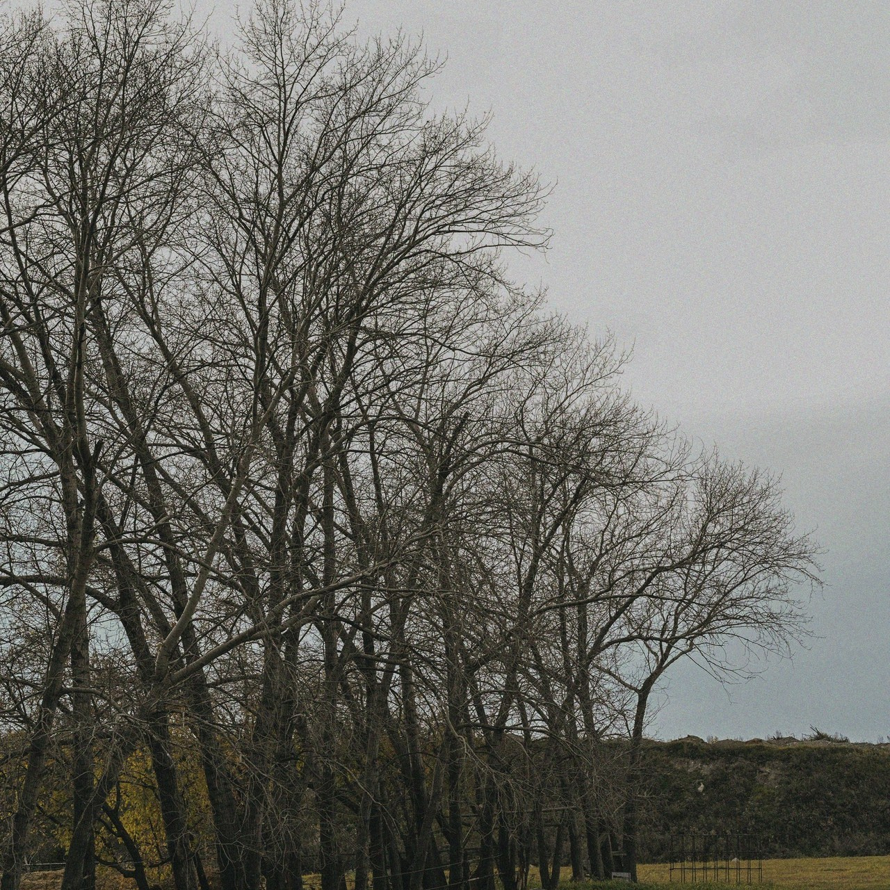 Отзывы. Свадебный, портретный фотограф В Москве и Челябинске Панченкова Светлана