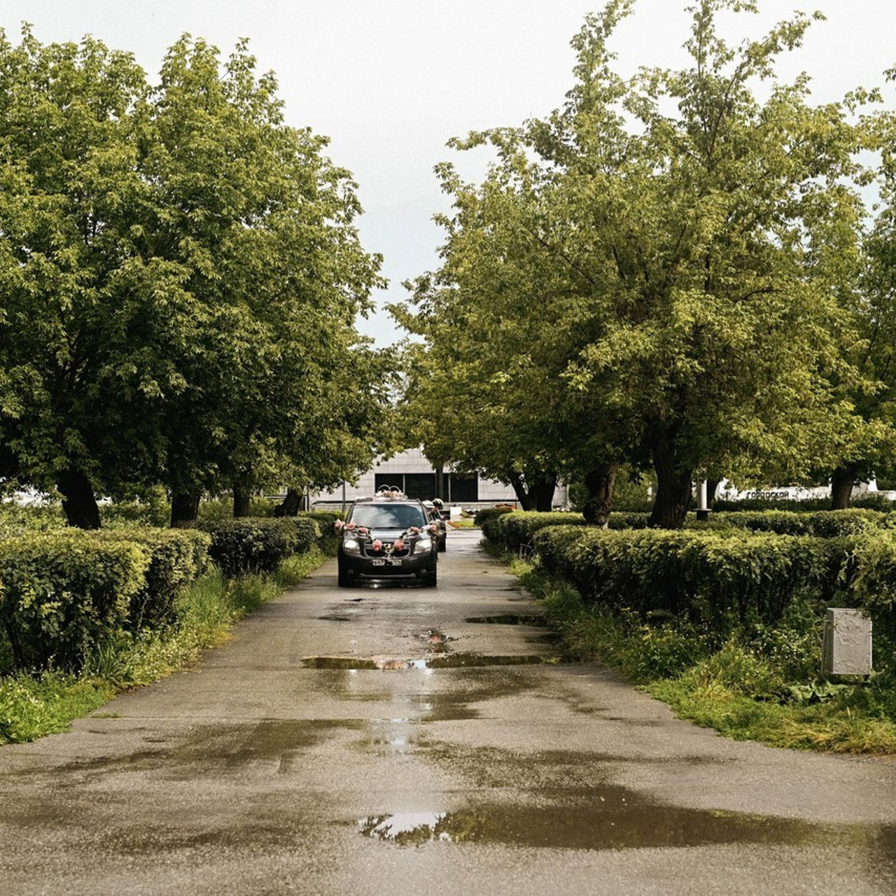 Отзывы. Свадебный, портретный фотограф В Москве и Челябинске Панченкова Светлана