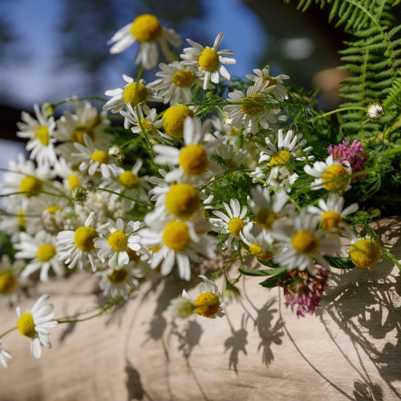 Отзывы. Профессиональный фотограф в Усть-Каменогорске