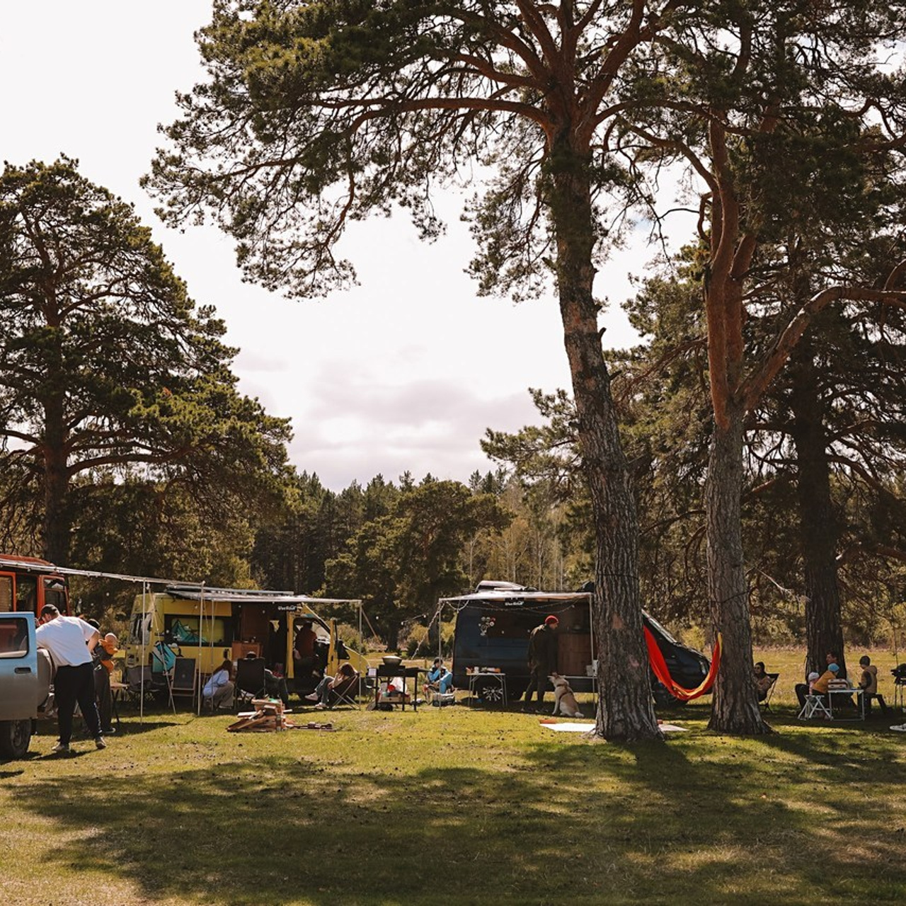 Отзывы. Семейный фотограф Тюмень, фотограф на роды Салмина Мария