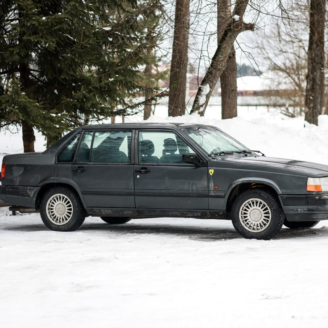 Фотосессии с лошадьми. Фотосессии с лошадьми