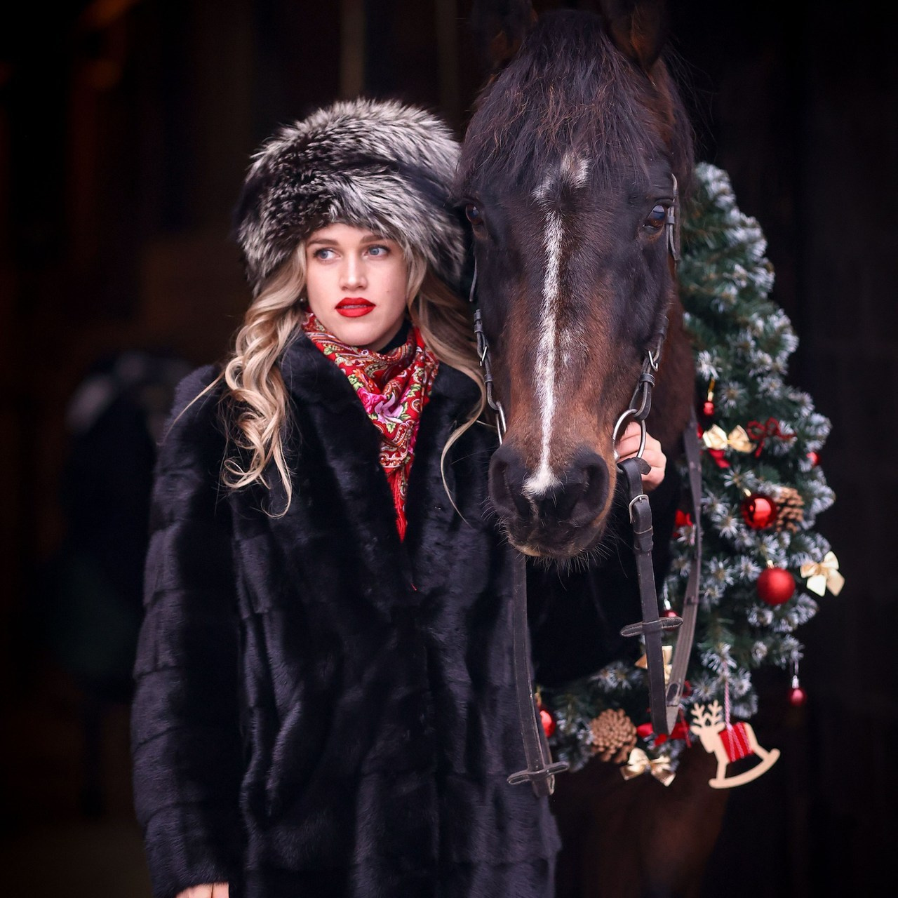 Фотосессии с лошадьми. Фотосессии с лошадьми