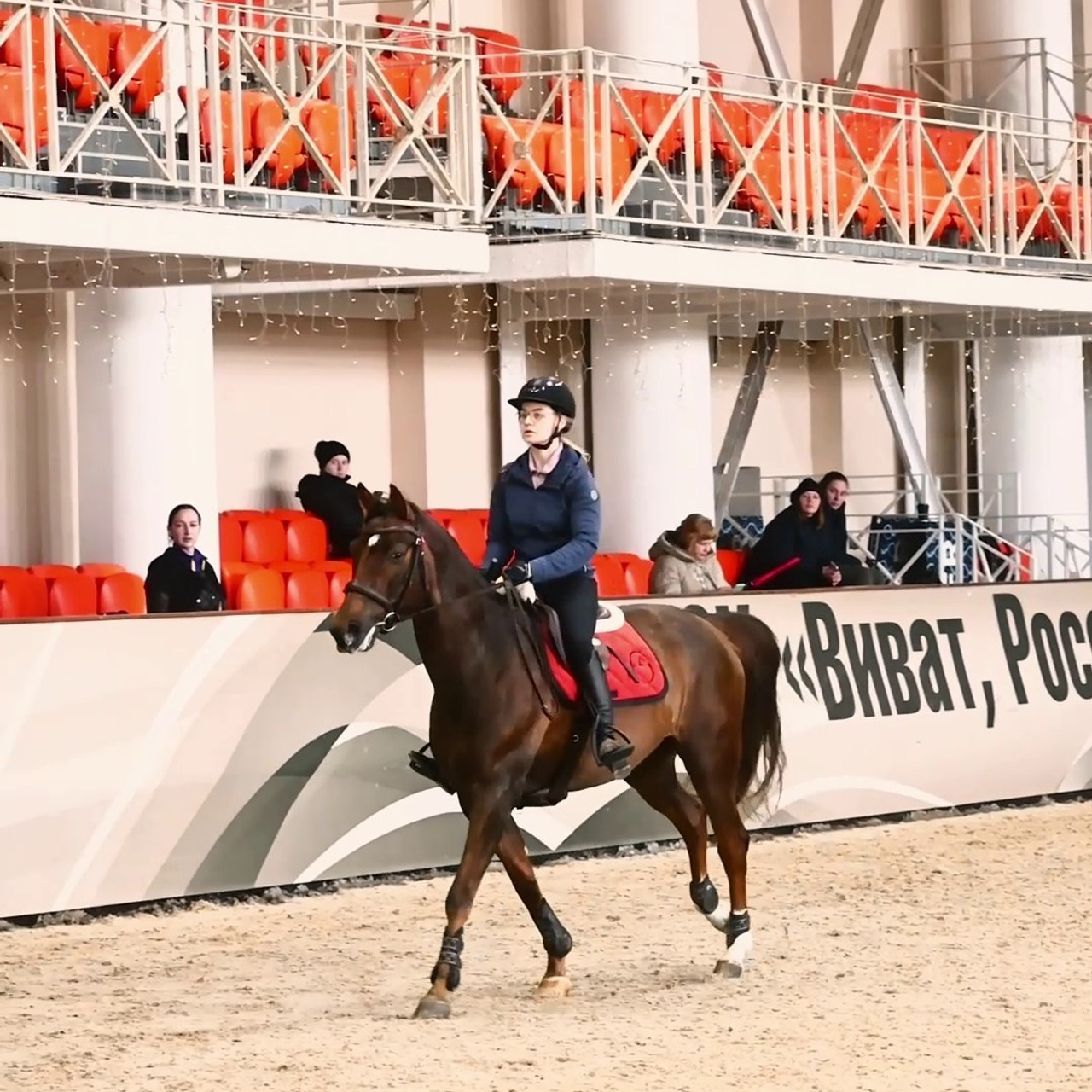 Фотосессии с лошадьми. Фотосессии с лошадьми